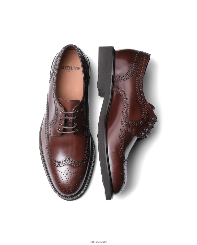 Lottusse Männer Baltimore Bright Calf Derby 22LP0160 braun Schuhwerk