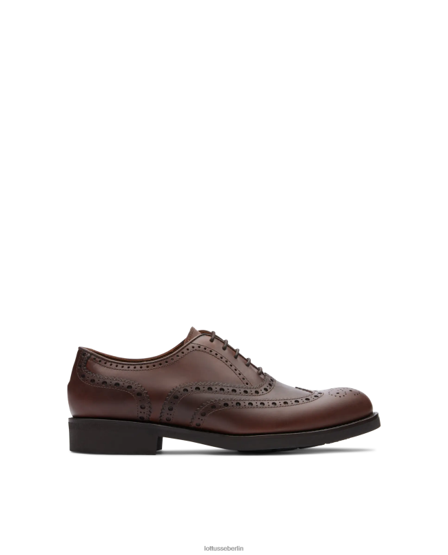 Lottusse Männer Chelsea Wax Calf Derby 22LP0185 braun Schuhwerk