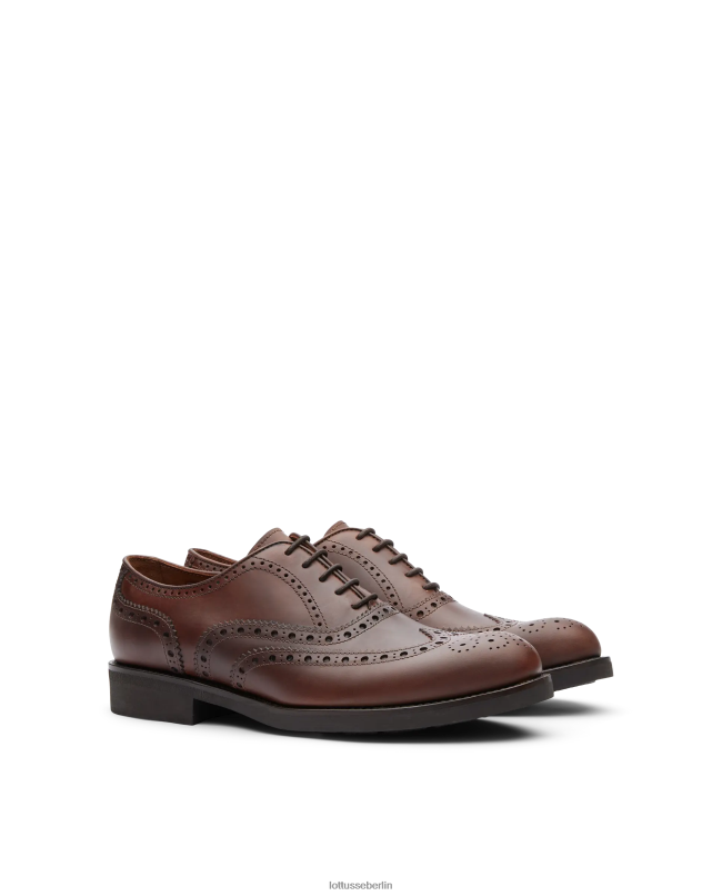 Lottusse Männer Chelsea Wax Calf Derby 22LP0185 braun Schuhwerk