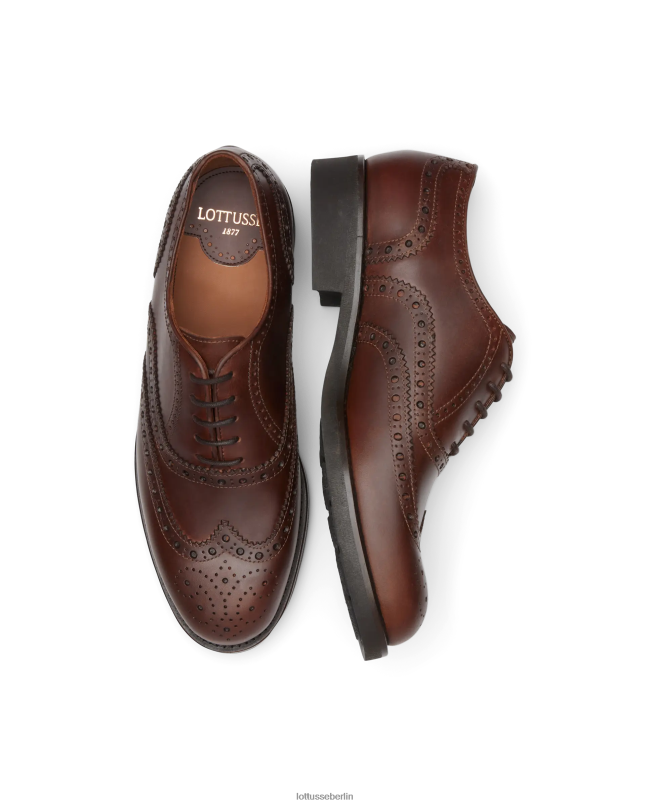 Lottusse Männer Chelsea Wax Calf Derby 22LP0185 braun Schuhwerk