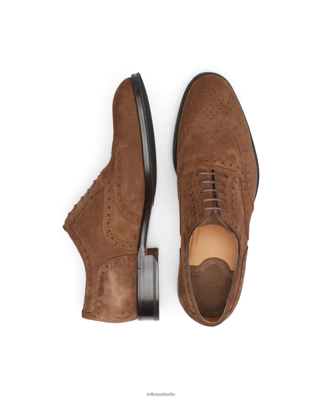 Lottusse Männer Lenox-Wildleder-Kalb-Oxford 22LP0140 braun Schuhwerk