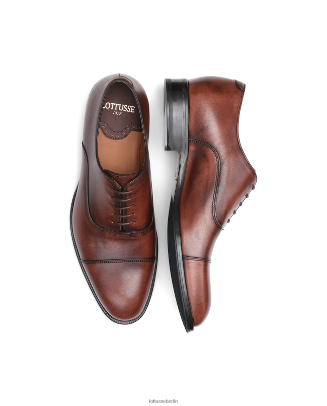 Lottusse Männer Lenox bürstet Kalb Oxford ab 22LP0137 braun Schuhwerk