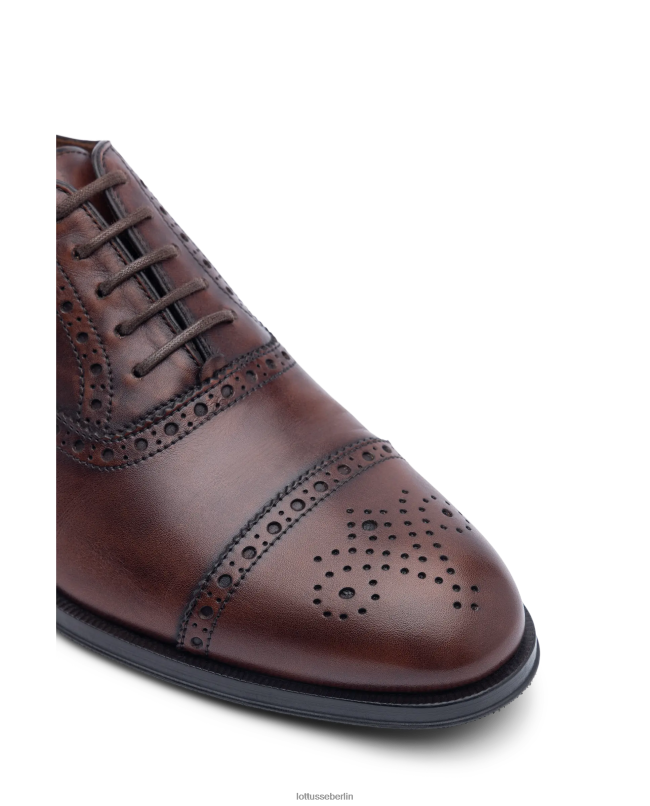 Lottusse Männer Lenox bürstet Kalb Oxford ab 22LP0139 braun Schuhwerk