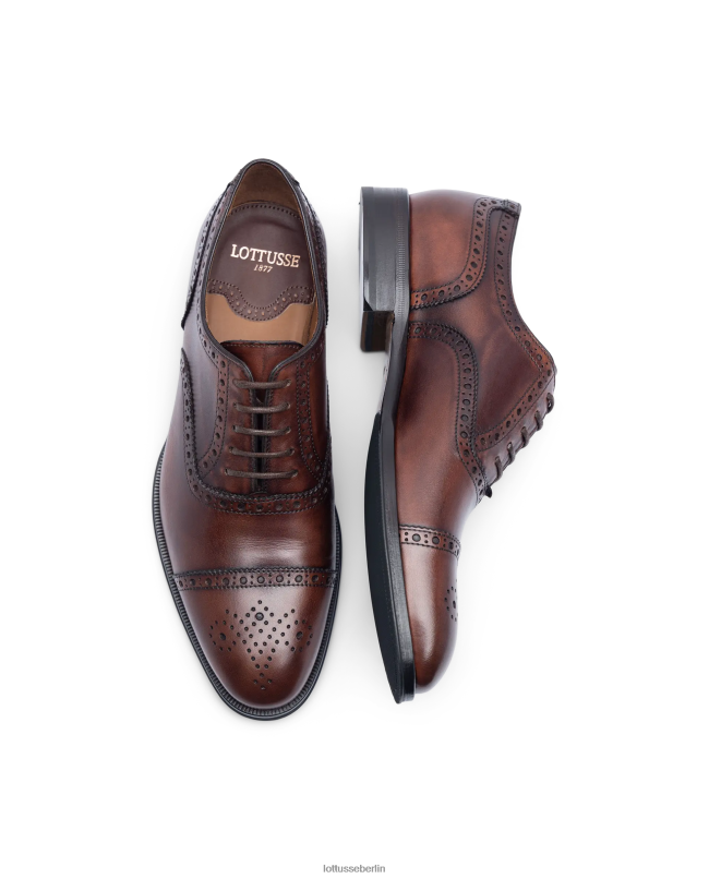 Lottusse Männer Lenox bürstet Kalb Oxford ab 22LP0139 braun Schuhwerk