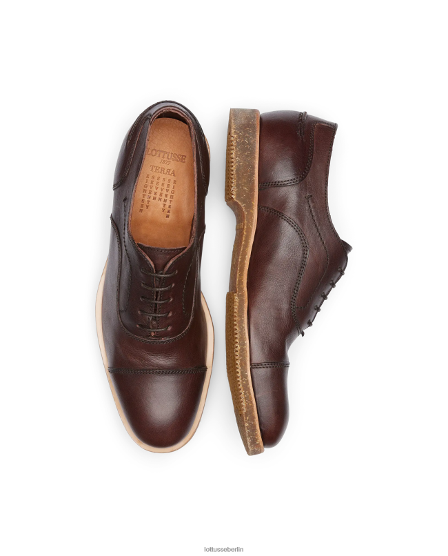 Lottusse Männer Terra Vaqueta weiches Kalbs-Oxford 22LP085 braun Schuhwerk